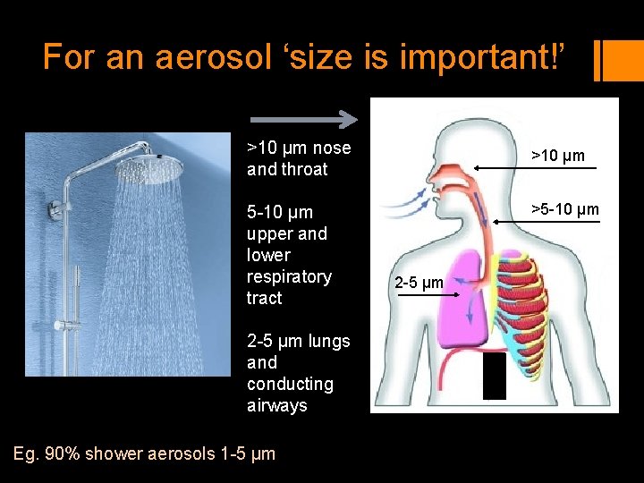 For an aerosol ‘size is important!’ >10 µm nose and throat 5 -10 µm For an aerosol ‘size is important!’ >10 µm nose and throat 5 -10 µm