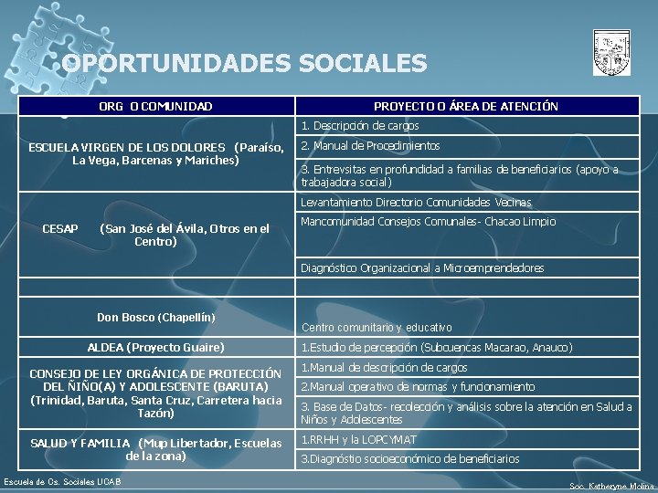 OPORTUNIDADES SOCIALES ORG O COMUNIDAD PROYECTO O ÁREA DE ATENCIÓN 1. Descripción de cargos