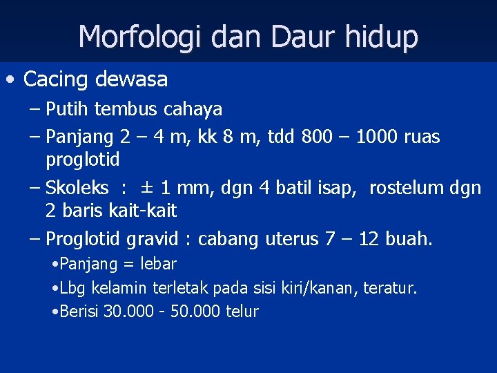 Morfologi dan Daur hidup • Cacing dewasa – Putih tembus cahaya – Panjang 2