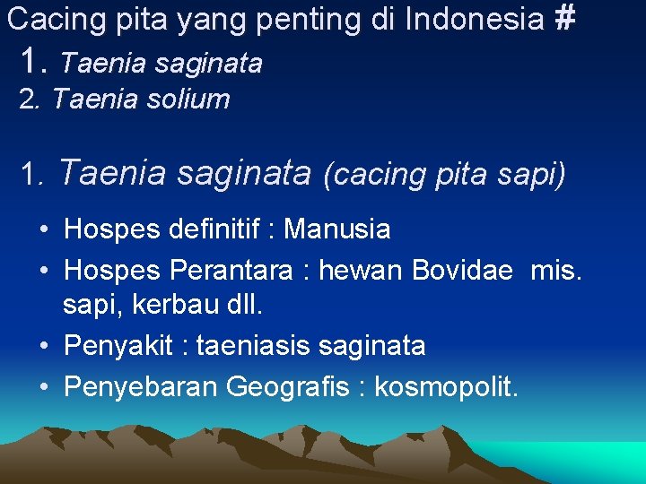 Cacing pita yang penting di Indonesia # 1. Taenia saginata 2. Taenia solium 1.
