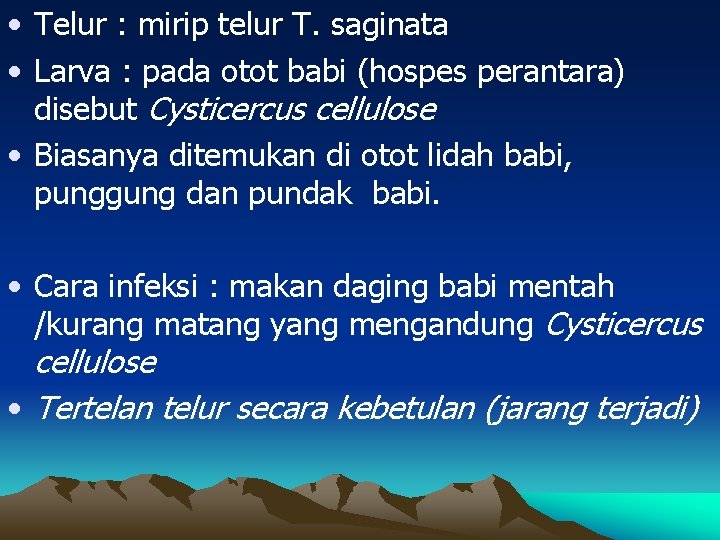  • Telur : mirip telur T. saginata • Larva : pada otot babi