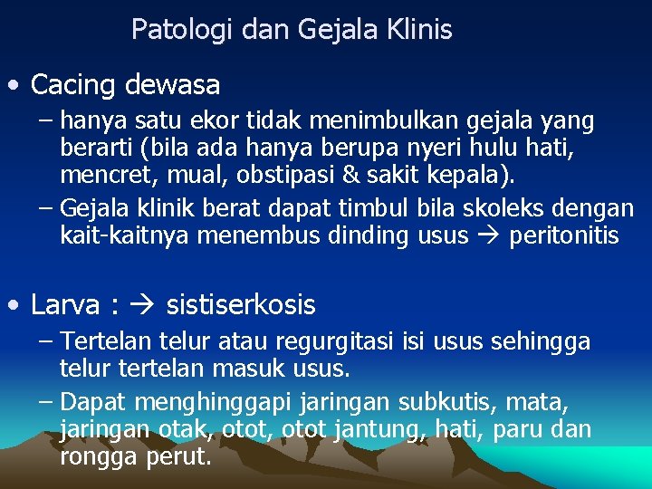 Patologi dan Gejala Klinis • Cacing dewasa – hanya satu ekor tidak menimbulkan gejala