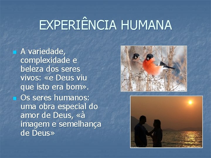 EXPERIÊNCIA HUMANA n n A variedade, complexidade e beleza dos seres vivos: «e Deus EXPERIÊNCIA HUMANA n n A variedade, complexidade e beleza dos seres vivos: «e Deus