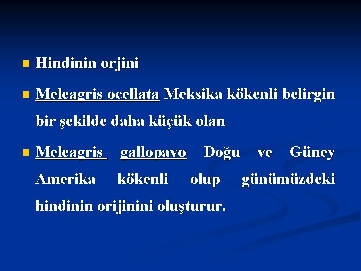 n Hindinin orjini n Meleagris ocellata Meksika kökenli belirgin bir şekilde daha küçük olan n Hindinin orjini n Meleagris ocellata Meksika kökenli belirgin bir şekilde daha küçük olan