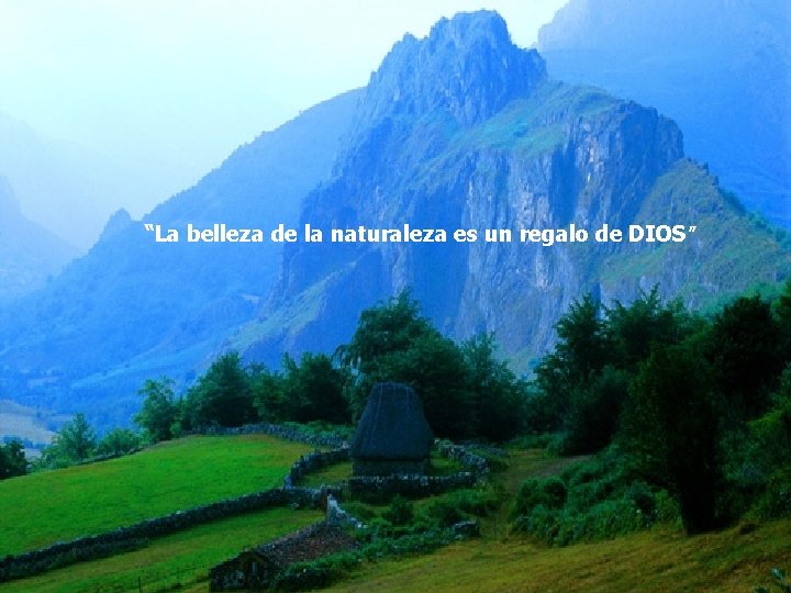 “La belleza de la naturaleza es un regalo de DIOS ” 