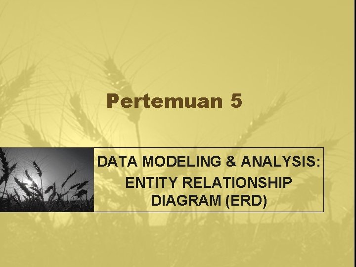 Pertemuan 5 DATA MODELING & ANALYSIS: ENTITY RELATIONSHIP DIAGRAM (ERD) 