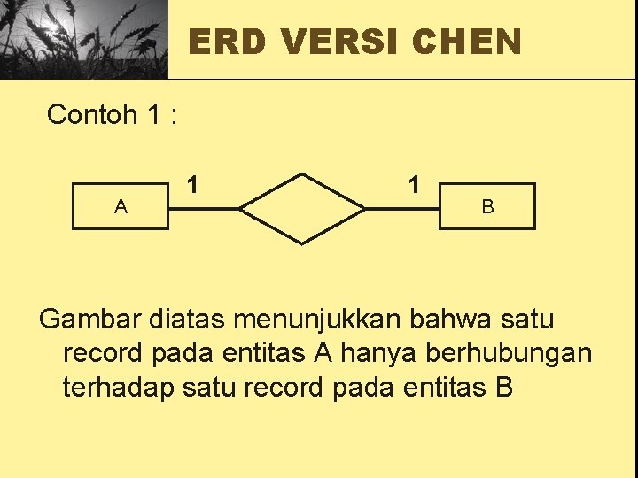 ERD VERSI CHEN Contoh 1 : A 1 1 B Gambar diatas menunjukkan bahwa