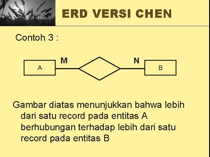 ERD VERSI CHEN Contoh 3 : A M N B Gambar diatas menunjukkan bahwa