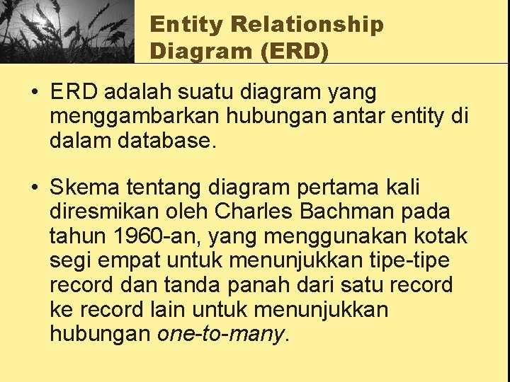 Entity Relationship Diagram (ERD) • ERD adalah suatu diagram yang menggambarkan hubungan antar entity