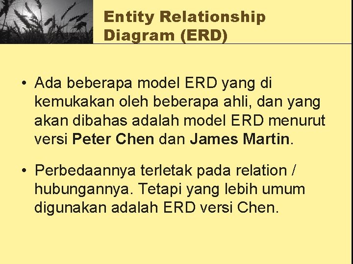 Entity Relationship Diagram (ERD) • Ada beberapa model ERD yang di kemukakan oleh beberapa