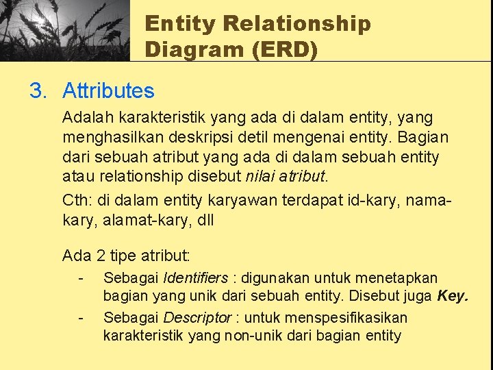 Entity Relationship Diagram (ERD) 3. Attributes Adalah karakteristik yang ada di dalam entity, yang