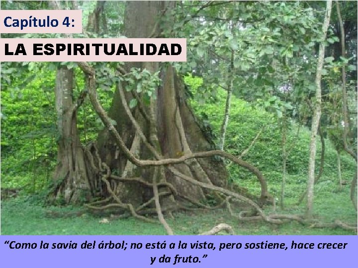 Capítulo 4: LA ESPIRITUALIDAD “Como la savia del árbol; no está a la vista,