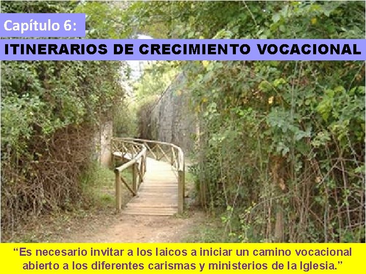 Capítulo 6: ITINERARIOS DE CRECIMIENTO VOCACIONAL “Es necesario invitar a los laicos a iniciar