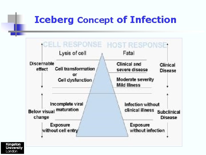 Iceberg Concept of Infection 