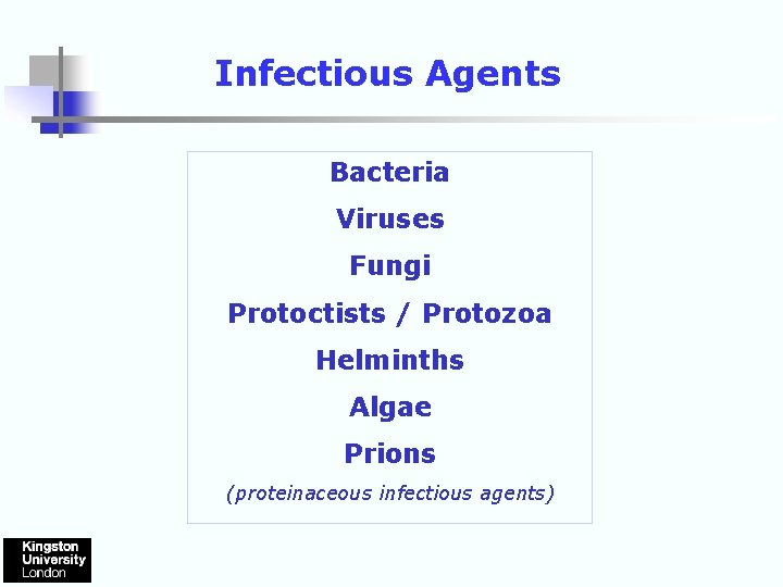 Infectious Agents Bacteria Viruses Fungi Protoctists / Protozoa Helminths Algae Prions (proteinaceous infectious agents)