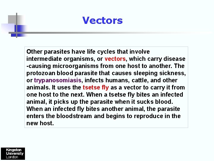 Vectors Other parasites have life cycles that involve intermediate organisms, or vectors, which carry