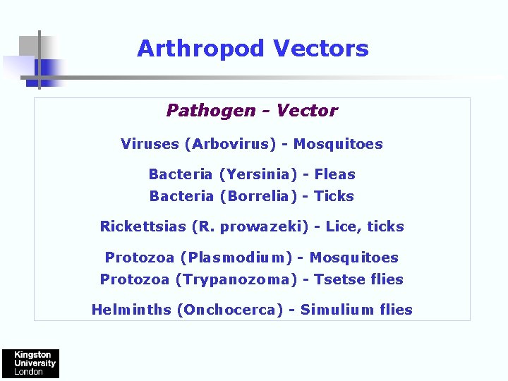 Arthropod Vectors Pathogen - Vector Viruses (Arbovirus) - Mosquitoes Bacteria (Yersinia) - Fleas Bacteria