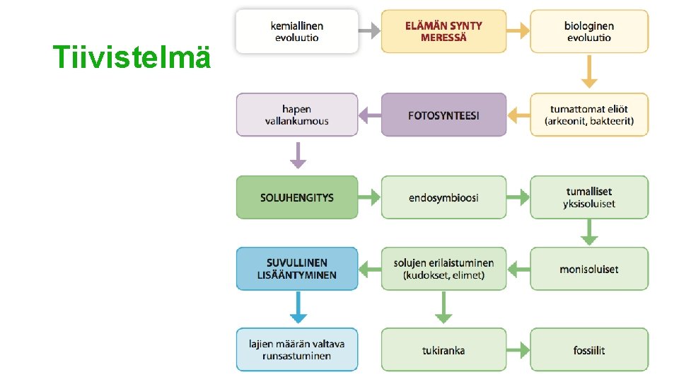 Tiivistelmä 