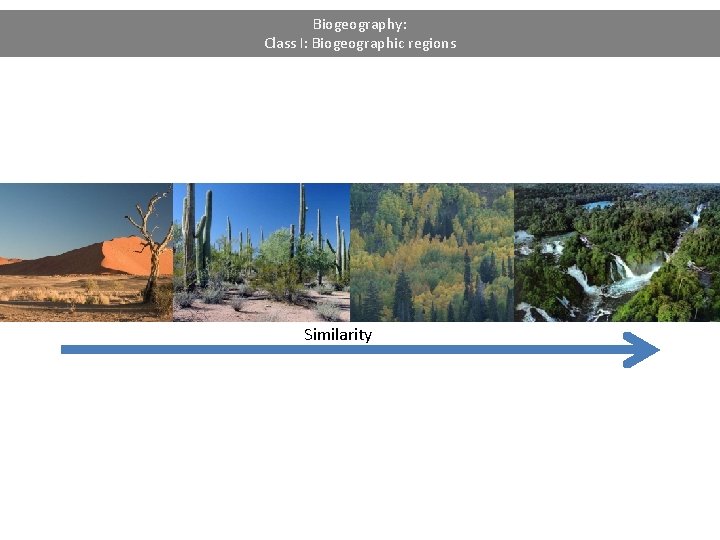 Biogeography: Class I: Biogeographic regions Similarity 