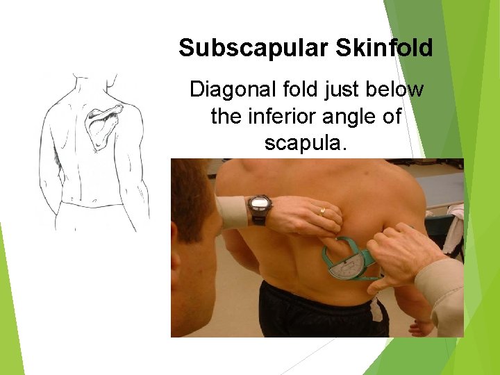 Subscapular Skinfold Diagonal fold just below the inferior angle of scapula. 