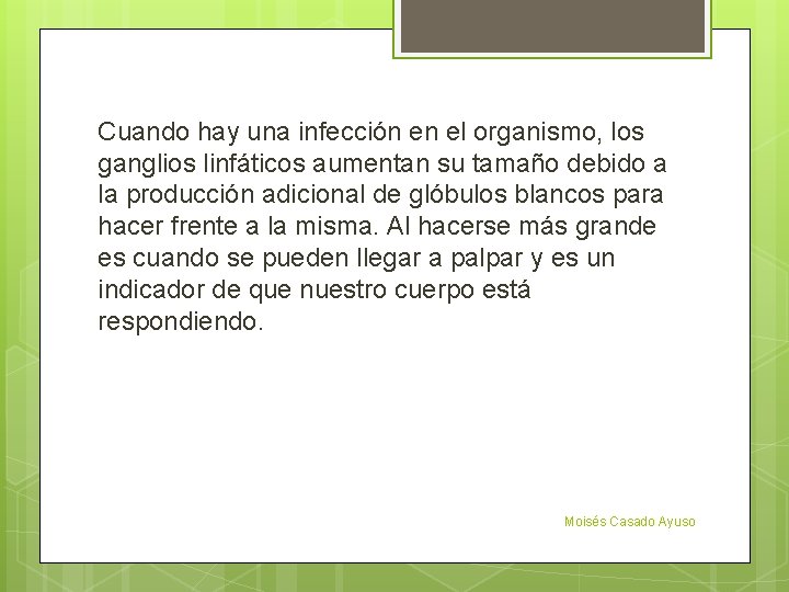 Cuando hay una infección en el organismo, los ganglios linfáticos aumentan su tamaño debido