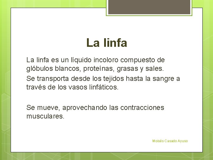 La linfa es un líquido incoloro compuesto de glóbulos blancos, proteínas, grasas y sales.