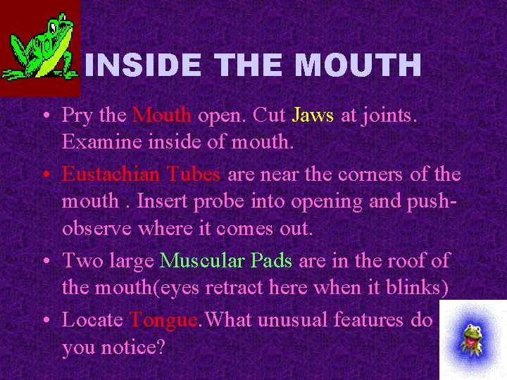 INSIDE THE MOUTH • Pry the Mouth open. Cut Jaws at joints. Examine inside