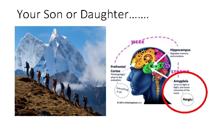 Your Son or Daughter……. 