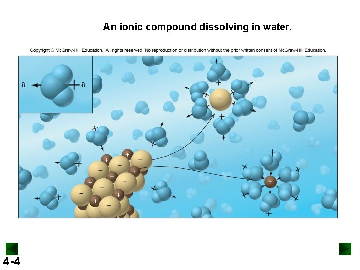 An ionic compound dissolving in water. 4 -4 