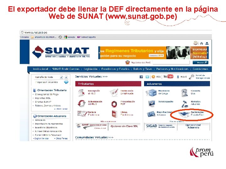 El exportador debe llenar la DEF directamente en la página Web de SUNAT (www.
