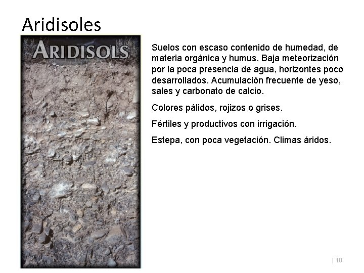 Aridisoles Suelos con escaso contenido de humedad, de materia orgánica y humus. Baja meteorización