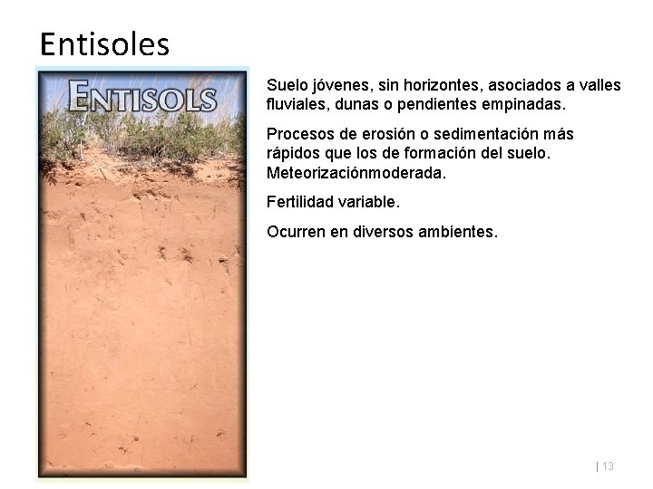 Entisoles Suelo jóvenes, sin horizontes, asociados a valles fluviales, dunas o pendientes empinadas. Procesos