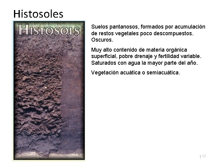 Histosoles Suelos pantanosos, formados por acumulación de restos vegetales poco descompuestos. Oscuros. Muy alto