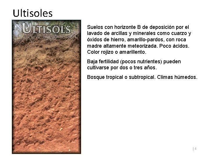 Ultisoles Suelos con horizonte B de deposición por el lavado de arcillas y minerales