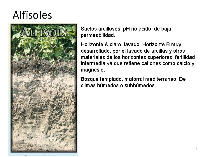 Alfisoles Suelos arcillosos, p. H no ácido, de baja permeabilidad. Horizonte A claro, lavado.