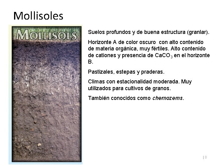 Mollisoles Suelos profundos y de buena estructura (granlar). Horizonte A de color oscuro con