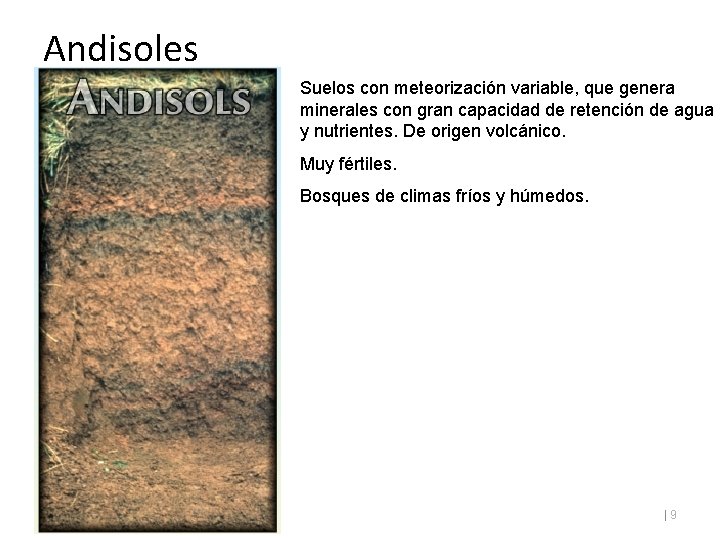 Andisoles Suelos con meteorización variable, que genera minerales con gran capacidad de retención de