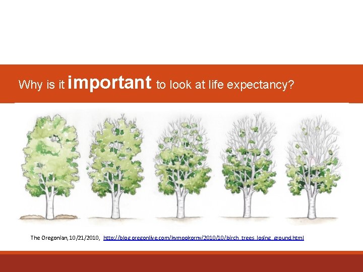 Why is it important to look at life expectancy? The Oregonian, 10/21/2010, http: //blog.