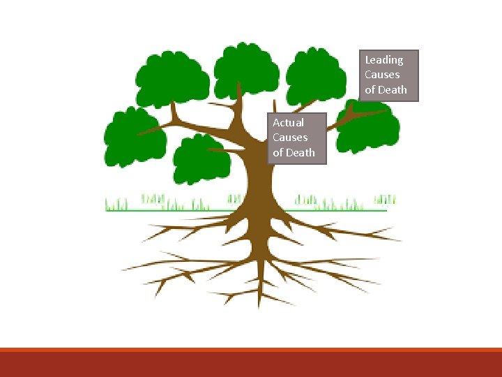 Leading Causes of Death Actual Causes of Death 