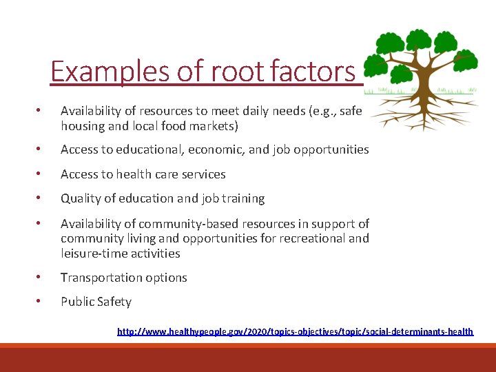 Examples of root factors • Availability of resources to meet daily needs (e. g.