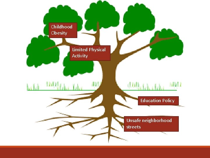 Childhood Obesity Limited Physical Activity Education Policy Unsafe neighborhood streets 