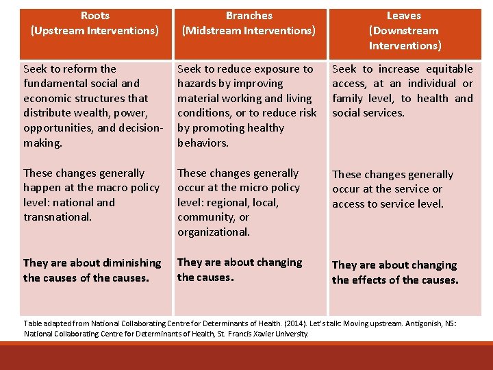 Roots (Upstream Interventions) Branches (Midstream Interventions) Leaves (Downstream Interventions) Seek to reform the fundamental