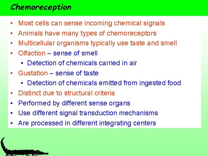 Chemoreception • • • Most cells can sense incoming chemical signals Animals have many