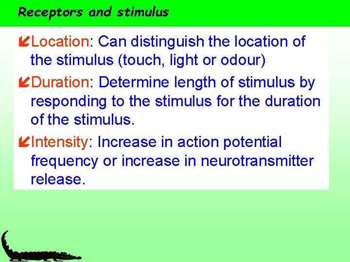 Receptors and stimulus íLocation: Can distinguish the location of the stimulus (touch, light or