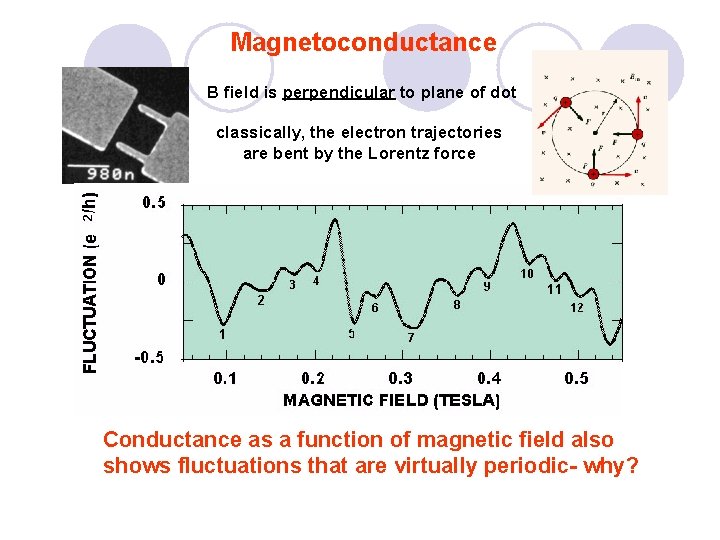 Magnetoconductance B field is perpendicular to plane of dot classically, the electron trajectories are