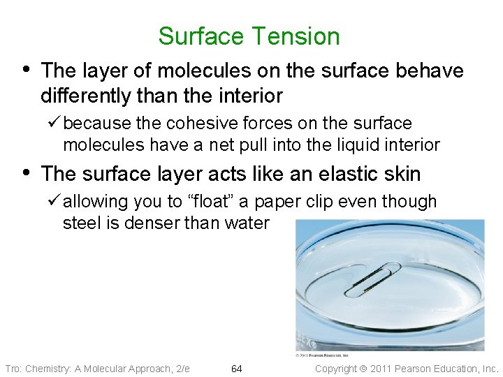 Surface Tension • The layer of molecules on the surface behave differently than the