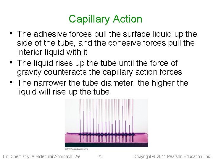 Capillary Action • The adhesive forces pull the surface liquid up the • •