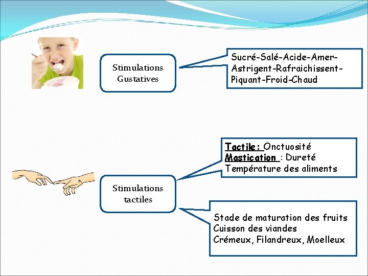 Stimulations Gustatives Sucré-Salé-Acide-Amer. Astrigent-Rafraichissent. Piquant-Froid-Chaud Tactile: Onctuosité Mastication : Dureté Température des aliments Stimulations Stimulations Gustatives Sucré-Salé-Acide-Amer. Astrigent-Rafraichissent. Piquant-Froid-Chaud Tactile: Onctuosité Mastication : Dureté Température des aliments Stimulations