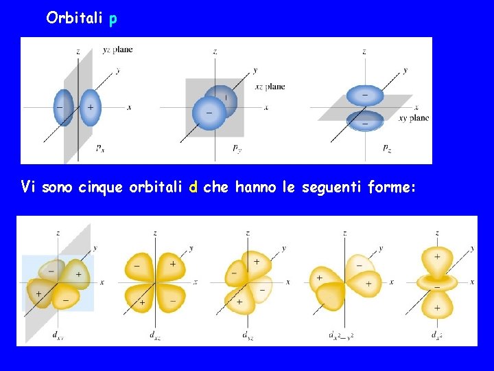 Orbitali p Vi sono cinque orbitali d che hanno le seguenti forme: 