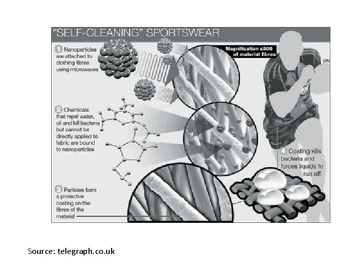 Source: telegraph. co. uk 